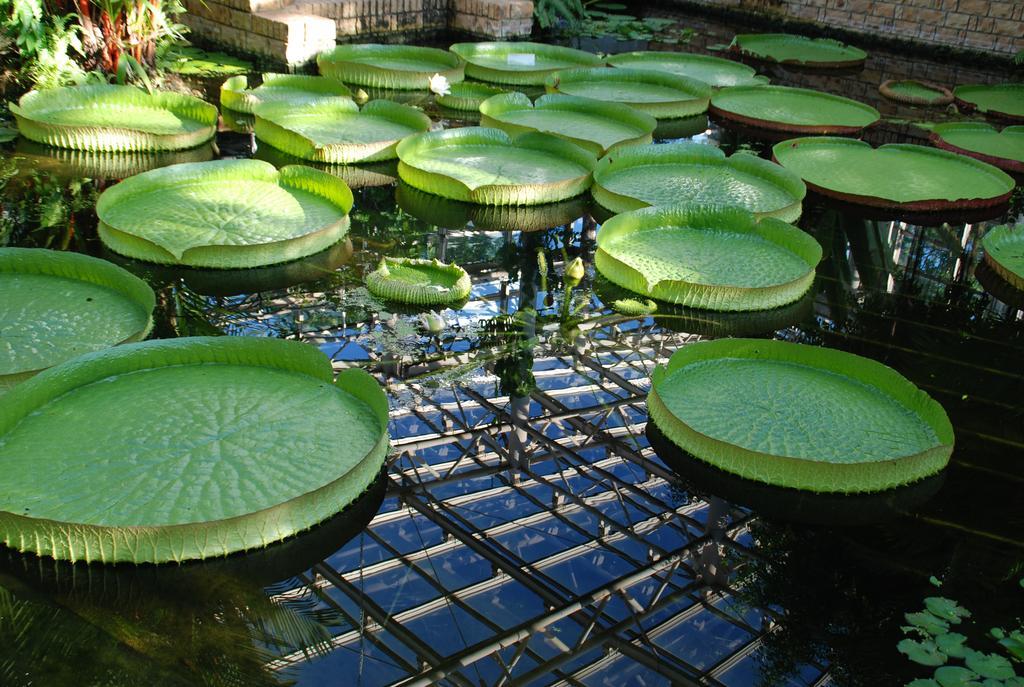 Yukurinaresort Okinawa Garden House Motobu Exterior foto